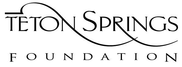 ts-foundation-logo